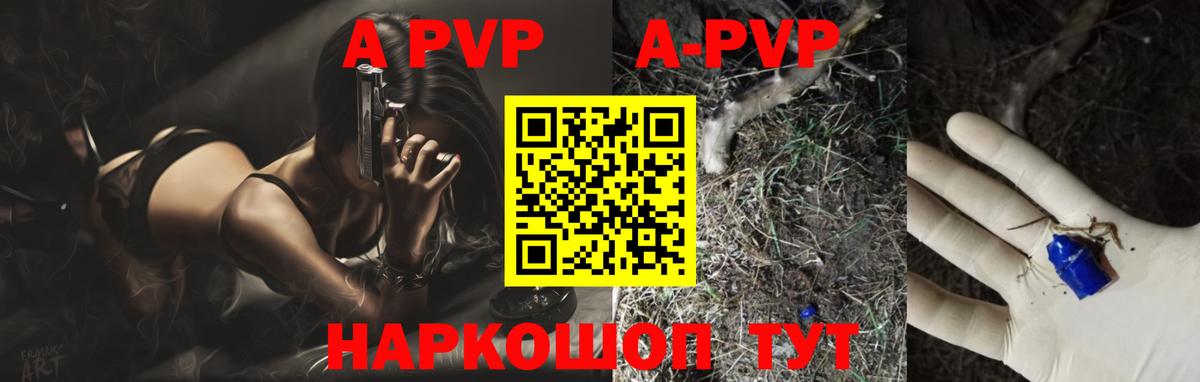 Alfa_PVP СК КРИС Иркутск
