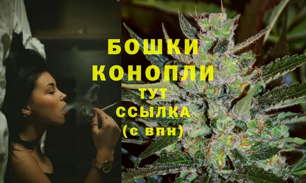 МДПВ Няндома