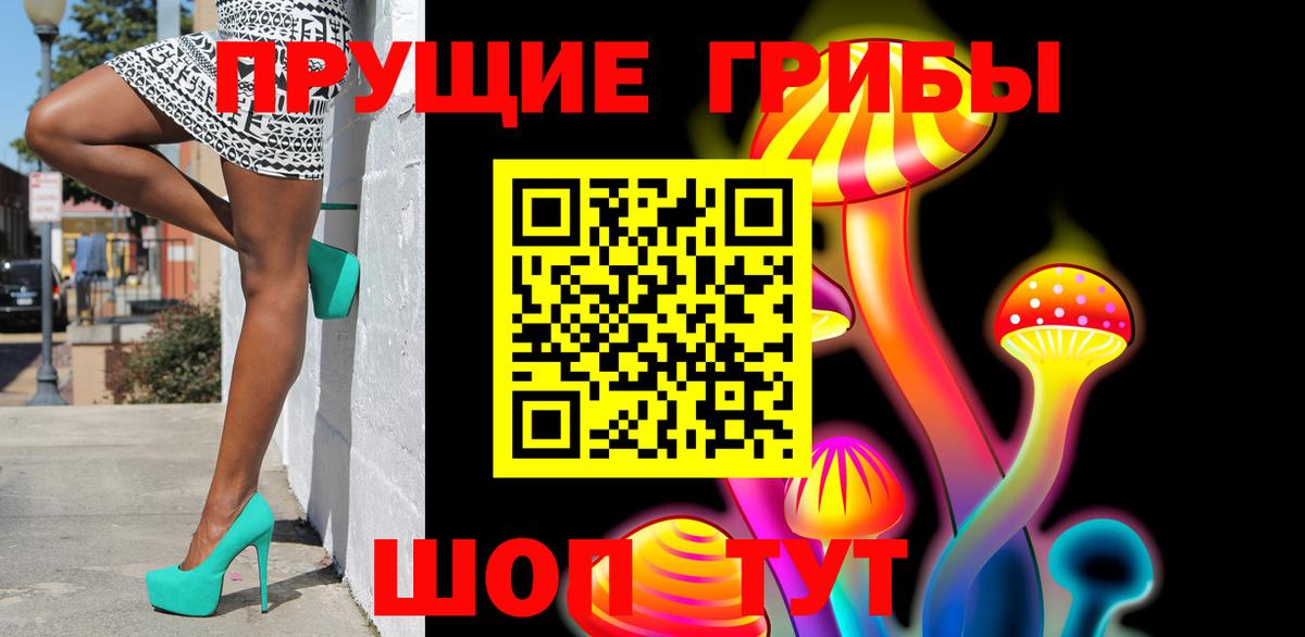 Псилоцибиновые грибы прущие грибы  купить наркоту  Вход с VPN  Иркутск  Псилоцибиновые грибы Psilocybe 